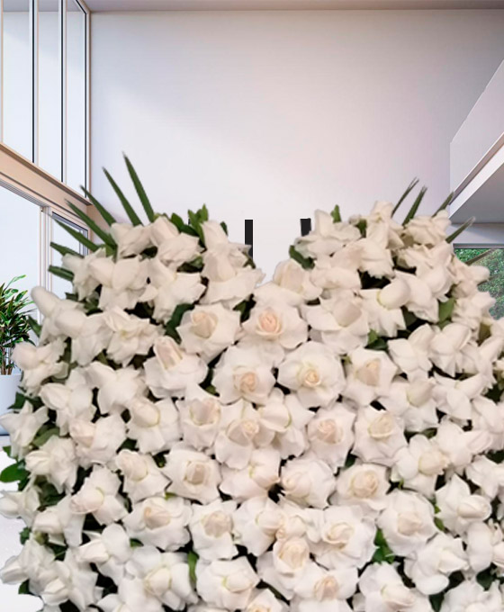 Rosas blancas para funerales de Sabadell